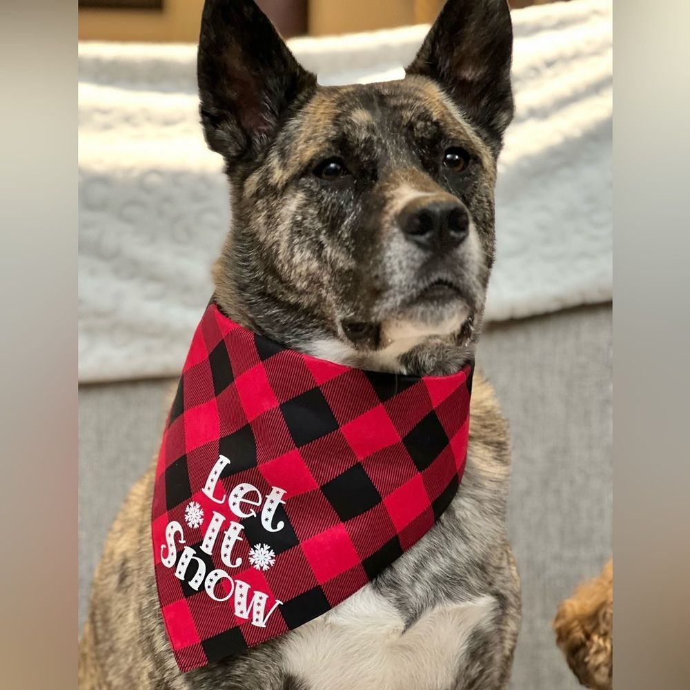 Let it snow red buffalo check plaid bandana size large or XL